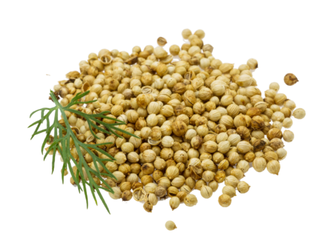 Coriander Seeds. Gold Springs Dubai