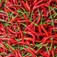 Button Red Chili| Sourced by Gold Springs Dubai.