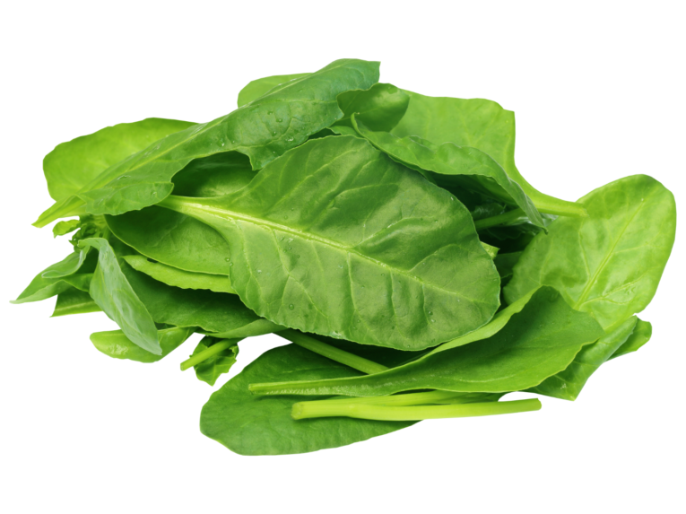 Indian Spinach