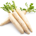 Indian White Radish| by Gold Springs Dubai