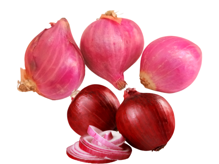 SMALL ONION (1)